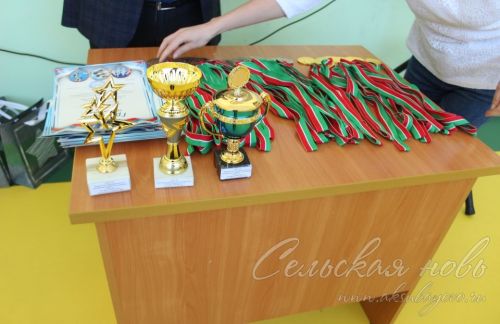 В Аксубаеве прошли соревнования по плаванию среди семи районов Татарстана