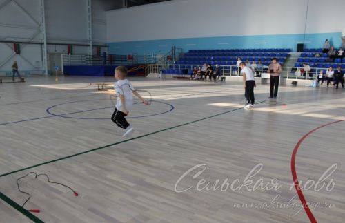 В Аксубаеве состязались спортивные семьи