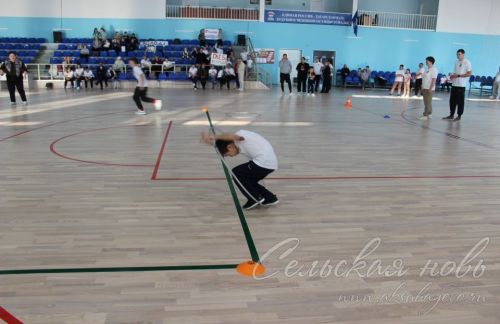 В Аксубаеве состязались спортивные семьи