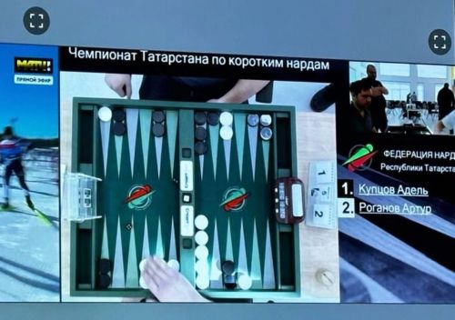Аксубаевец вошел  в число лучших нардистов республики