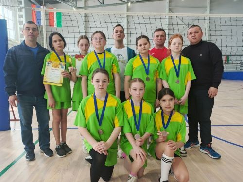 Саврушцы и савгачевцы заняли первое место в турнире по волейболу