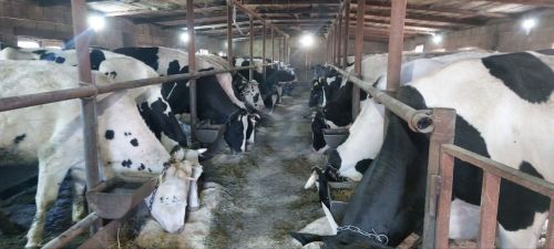 В Аксубаевском районе продолжается объезд хозяйств