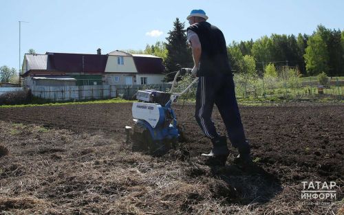 Владельцы заброшенных участков Татарстана должны привести землю в порядок в течение 3 лет