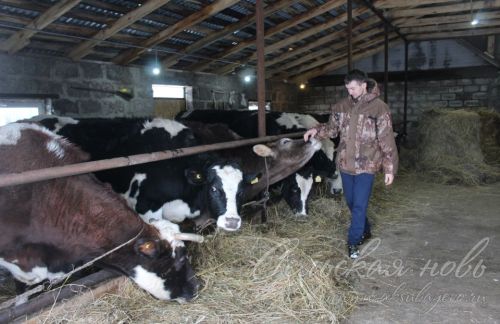 Аксубаевский юноша опыт в животноводстве приобретал с юных лет