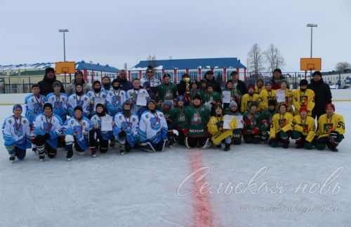 Аксубаевский «Барс-1» выиграл «Золотую шайбу»