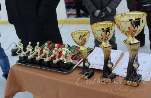 Аксубаевский «Барс-1» выиграл «Золотую шайбу»