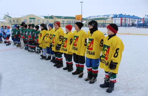 Аксубаевский «Барс-1» выиграл «Золотую шайбу»