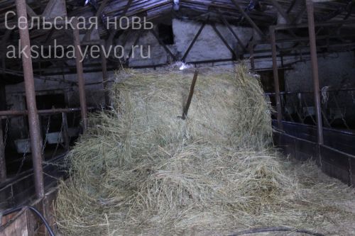 Көмеш медаль, кызыл диплом һәм җиргә мәхәббәт белән