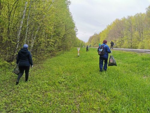 В Аксубаевском районе стартует акция «Чистые леса Татарстана»