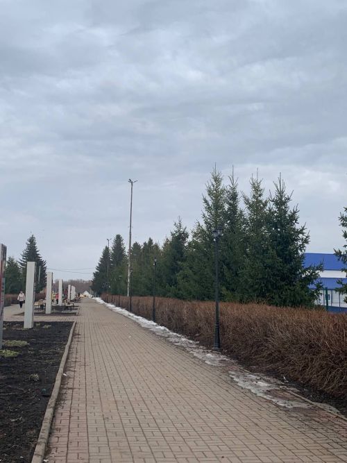 Прогноз погоды в Аксубаеве на 16 апреля