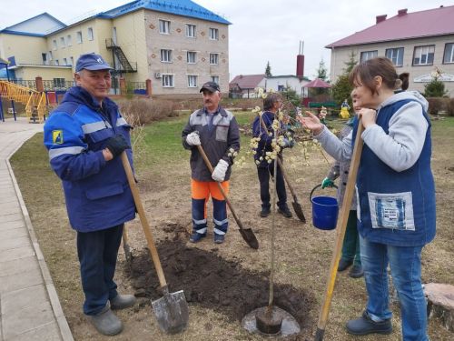 На территории Аксубаевской школы искусств будет цветущий сад