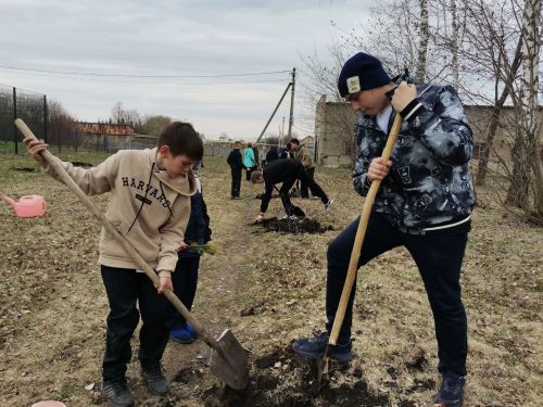 В Савгачевской школе озеленяют пространство