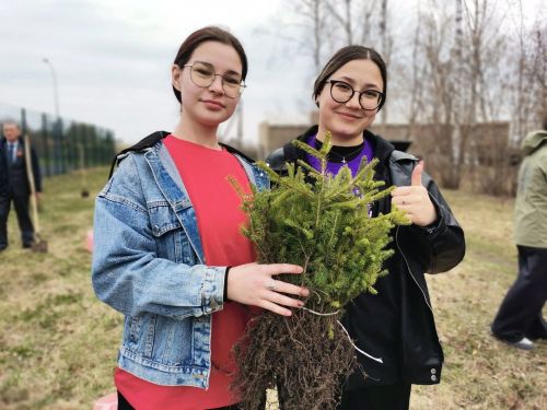 В Савгачевской школе озеленяют пространство