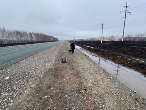 Иске Тимошкино халкы юл кырыйларын тәртипкә китерделәр