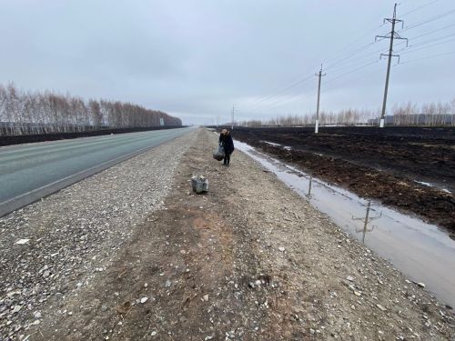 Жители Старого Тимошкина привели в порядок дорожные обочины
