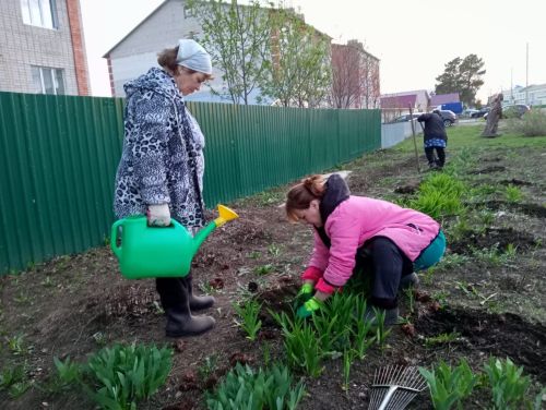 Двор в Аксубаеве на улице Романова – цветущая инициатива жильцов
