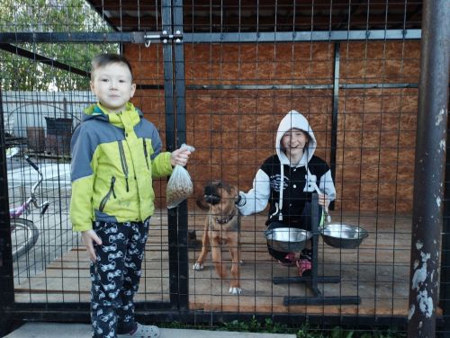 Аксубаевские школьники собрали корма для животных приюта