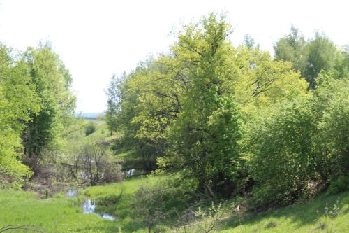 В Аксубаевском районе проживали ясачные и новокрещенные крестьяне и отставные солдаты