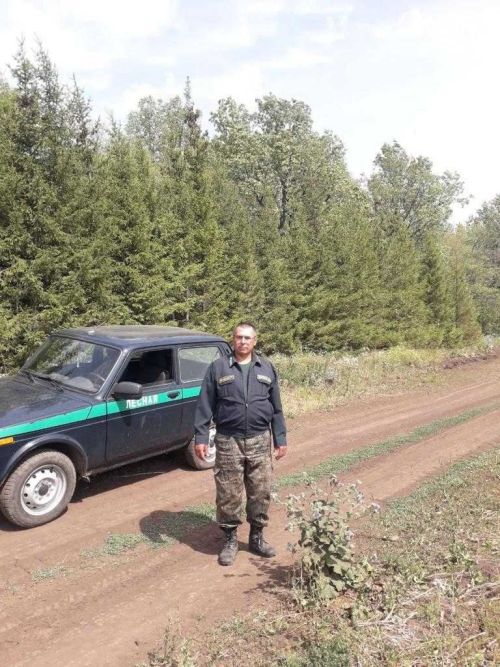 В Аксубаевском лесничестве организовано патрулирование лесов