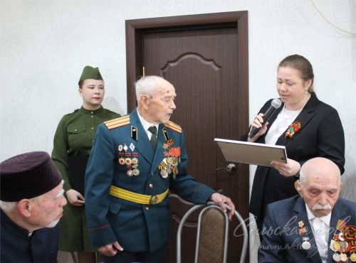 В Аксубаеве чествовали ветеранов и участников СВО