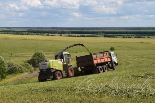 В Аксубаевском районе началась заготовка сенажа
