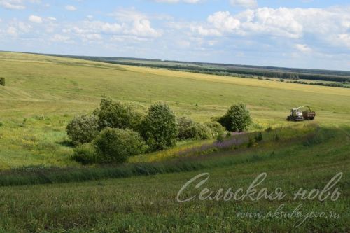 Сенаж чокырлары тулылана, печән өемнәре арта