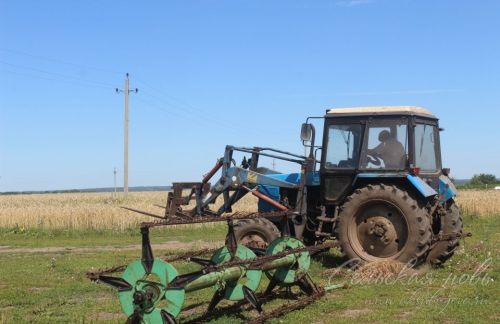 Жить и трудиться в родной деревне