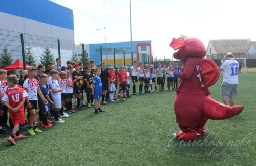 В Аксубаеве юные спортсмены играли в «дворовый футбол»