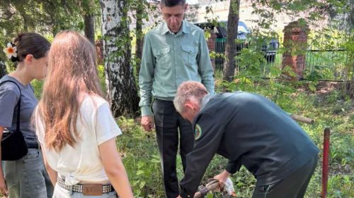 Аксубай укучылары мәктәп урманчылыклары слетына әзерләнә