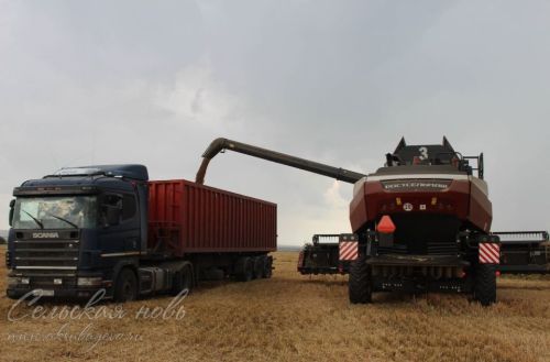 В Аксубаевском районе набирает обороты жатва
