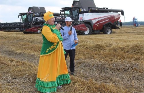 Лучшие на жатве хлебов получили награды