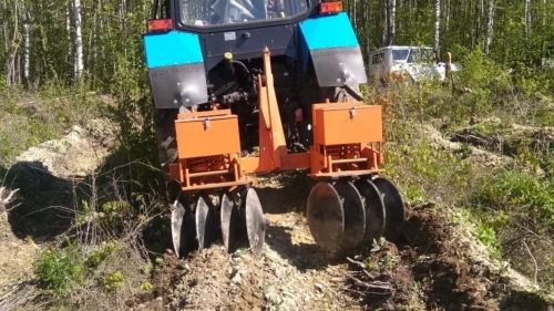 В Татарстане проведён агротехнический уход за лесными культурами на площади 11,3 тысячи гектаров