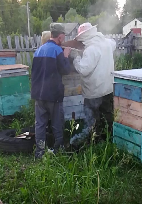 В Аксубаевском районе у каждого улья должен быть свой номер