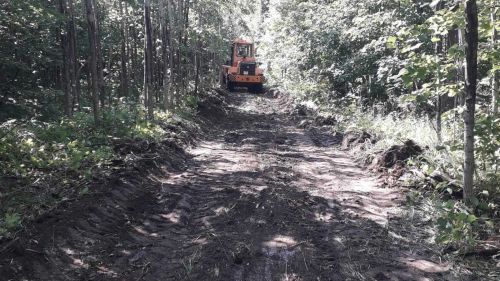 В аксубаевских лесах открываются противопожарные дороги