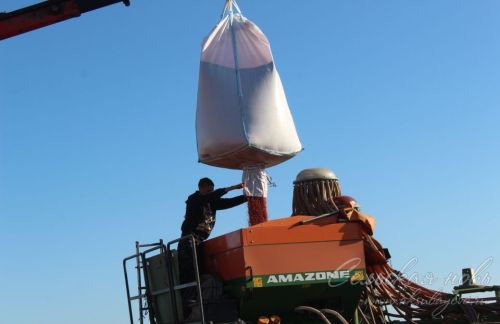 На аксубаевских полях  закладывается основа для нового урожая