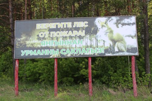 Аксубаевское лесничество предупреждает о пожароопасности четвертого класса