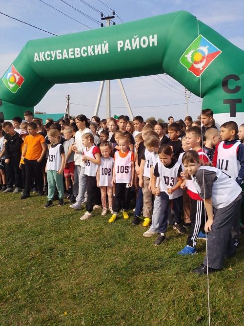 В Аксубаевском районе стартовал легкоатлетический забег «Кросс Татарстана -2025»