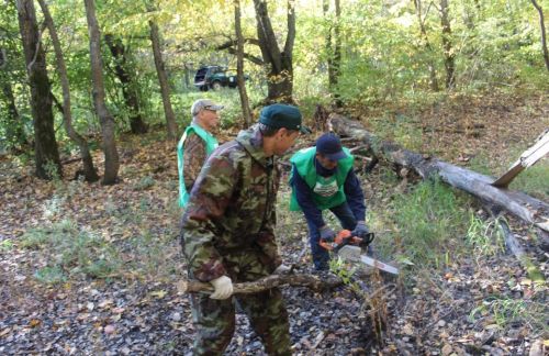 В Аксубаевском районе прошла республиканская акция «Чистые леса Татарстана»