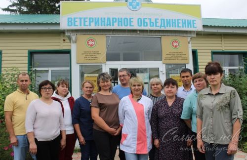 Хайваннарның сәламәтлеге турында кайгырту – гуманлы хезмәт