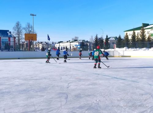 В Аксубаеве стартовали финальные игры «Золотой шайбы»-2026
