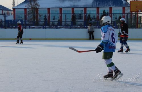 В Аксубаеве сразились юные хоккеисты Татарстана