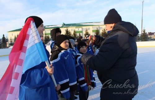 В Аксубаеве сразились юные хоккеисты Татарстана