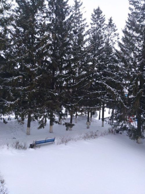 Прогноз погоды в Аксубаеве на 23 января