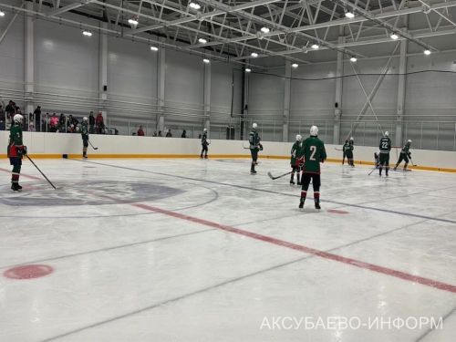 Аксубай бозында Татарстан хоккееның югары класслы вәкилләре уйнады