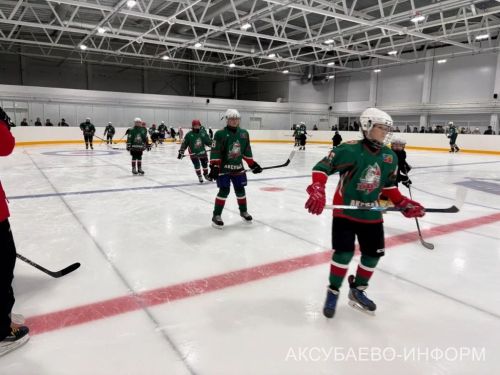 Аксубай бозында Татарстан хоккееның югары класслы вәкилләре уйнады