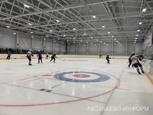 На аксубаевском льду играли представители высшего класса татарстанского хоккея