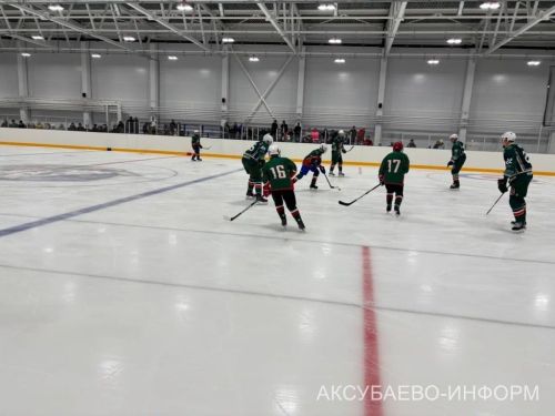 Аксубай бозында Татарстан хоккееның югары класслы вәкилләре уйнады