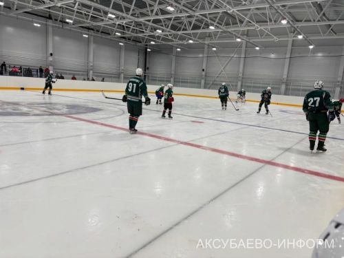 Аксубай бозында Татарстан хоккееның югары класслы вәкилләре уйнады