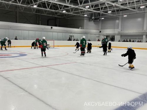 На аксубаевском льду играли представители высшего класса татарстанского хоккея
