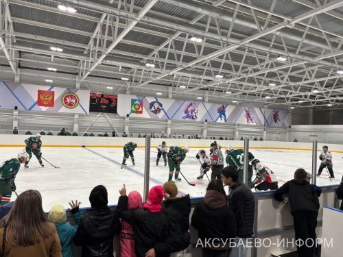 На аксубаевском льду играли представители высшего класса татарстанского хоккея